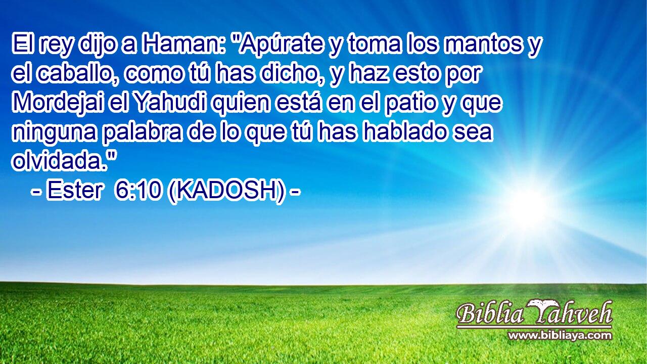  El rey dijo a Haman: 