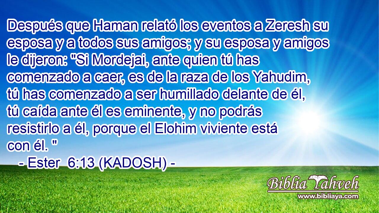  Después que Haman relató los eventos a Zeresh su esposa y a todos sus amigos; y su esposa y amigos le dijeron: 