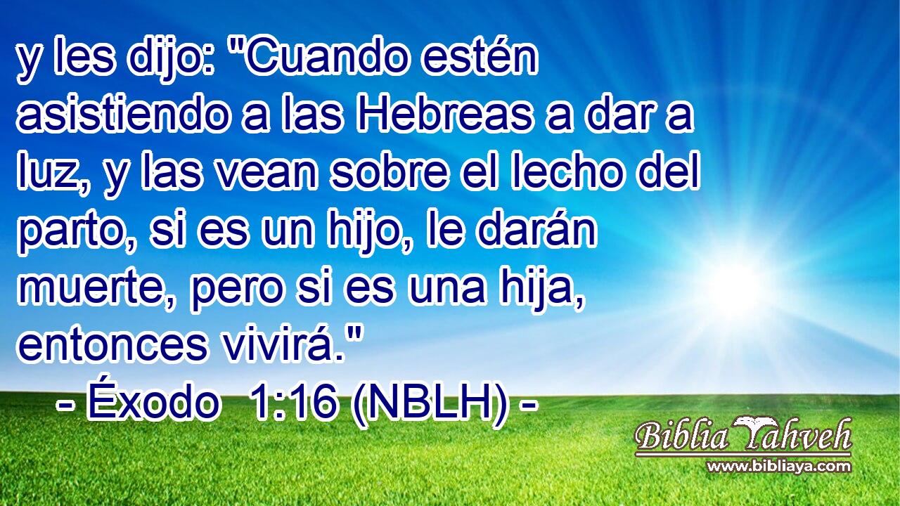  y les dijo: 