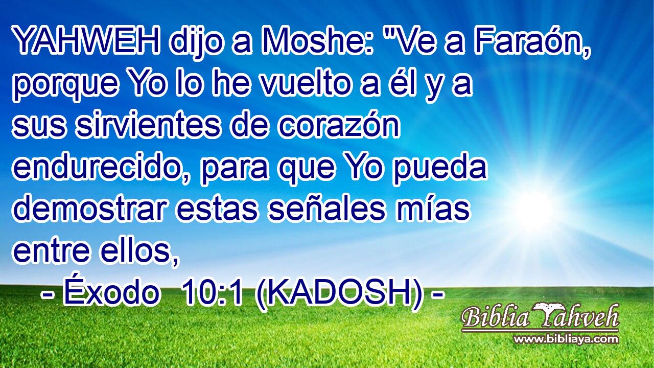  YAHWEH dijo a Moshe: 