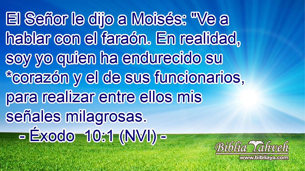  El Señor le dijo a Moisés: 