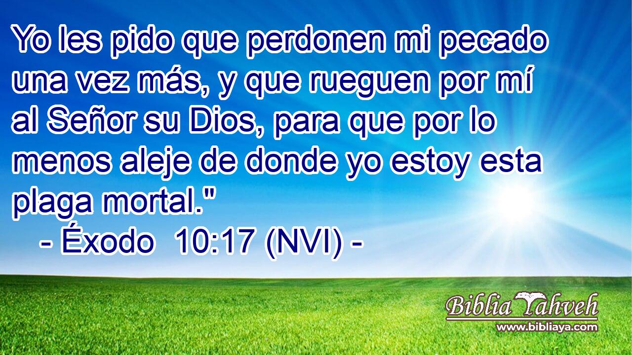  Yo les pido que perdonen mi pecado una vez más, y que rueguen por mí al Señor su Dios, para que por lo menos aleje de donde yo estoy esta plaga mortal.