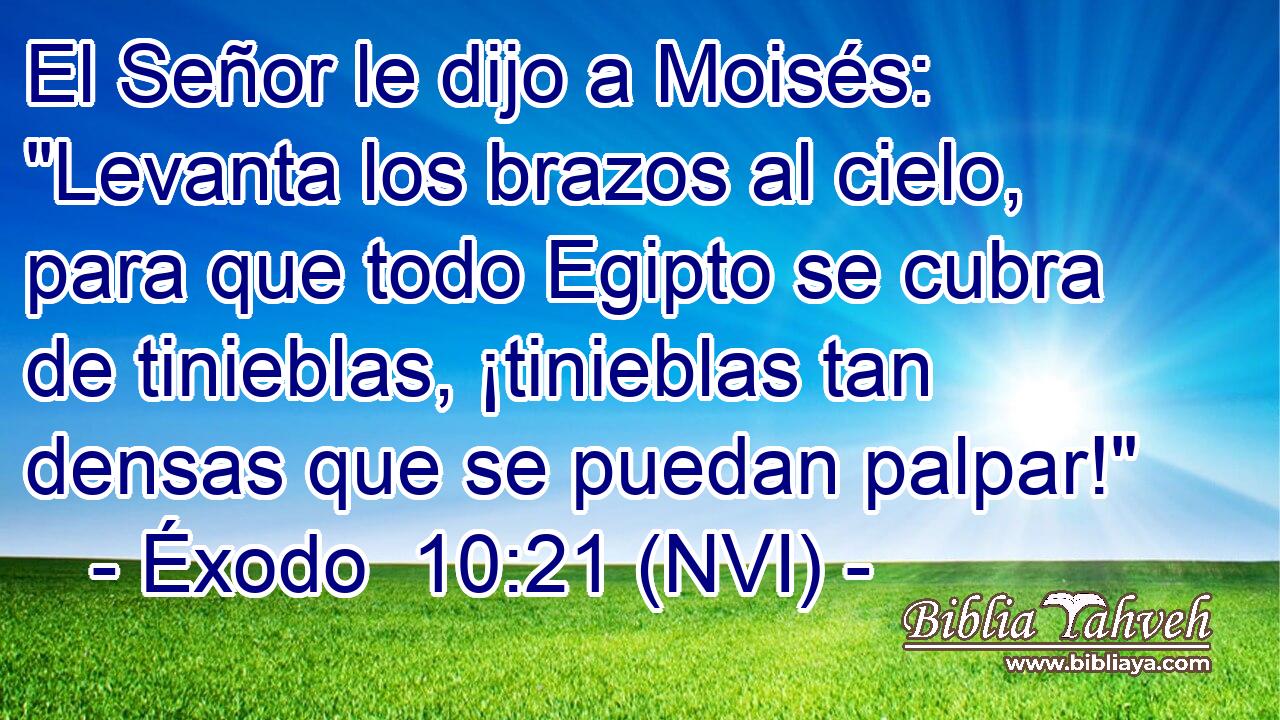  El Señor le dijo a Moisés: 