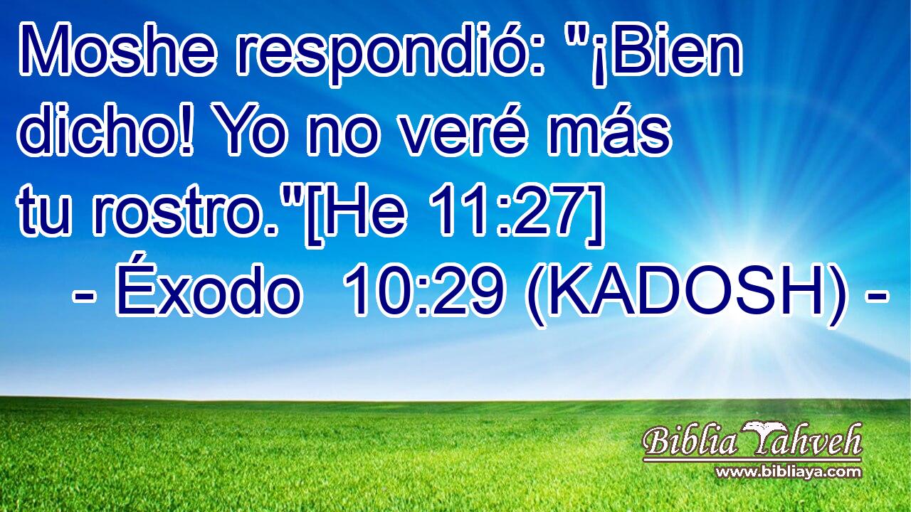  Moshe respondió: 