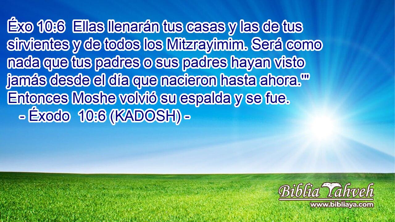  Ellas llenarán tus casas y las de tus sirvientes y de todos los Mitzrayimim. Será como nada que tus padres o sus padres hayan visto jamás desde el día que nacieron hasta ahora.'