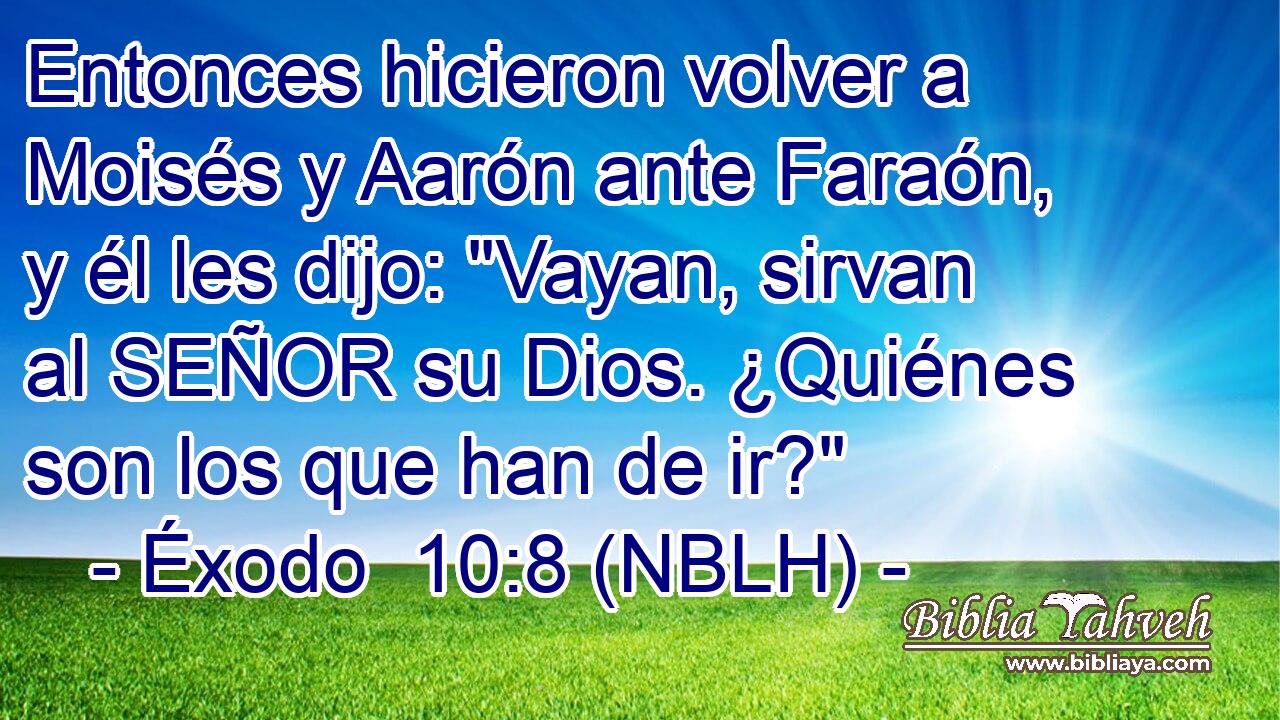  Entonces hicieron volver a Moisés y Aarón ante Faraón, y él les dijo: 
