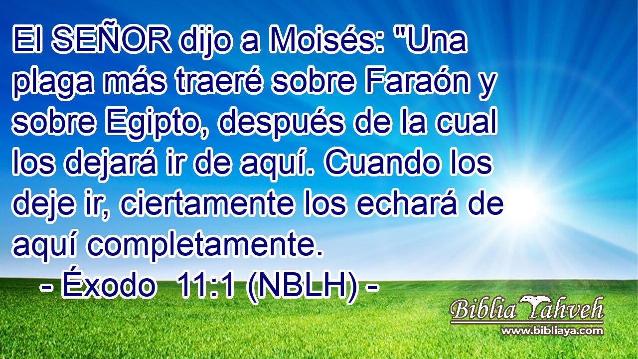  El SEÑOR dijo a Moisés: 