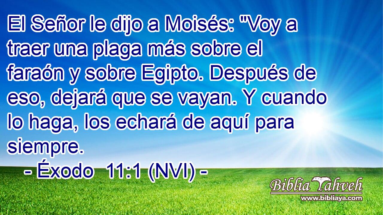  El Señor le dijo a Moisés: 