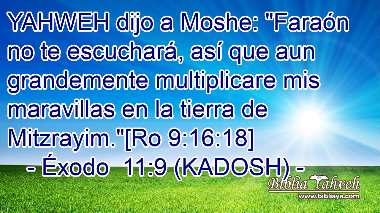  YAHWEH dijo a Moshe: 