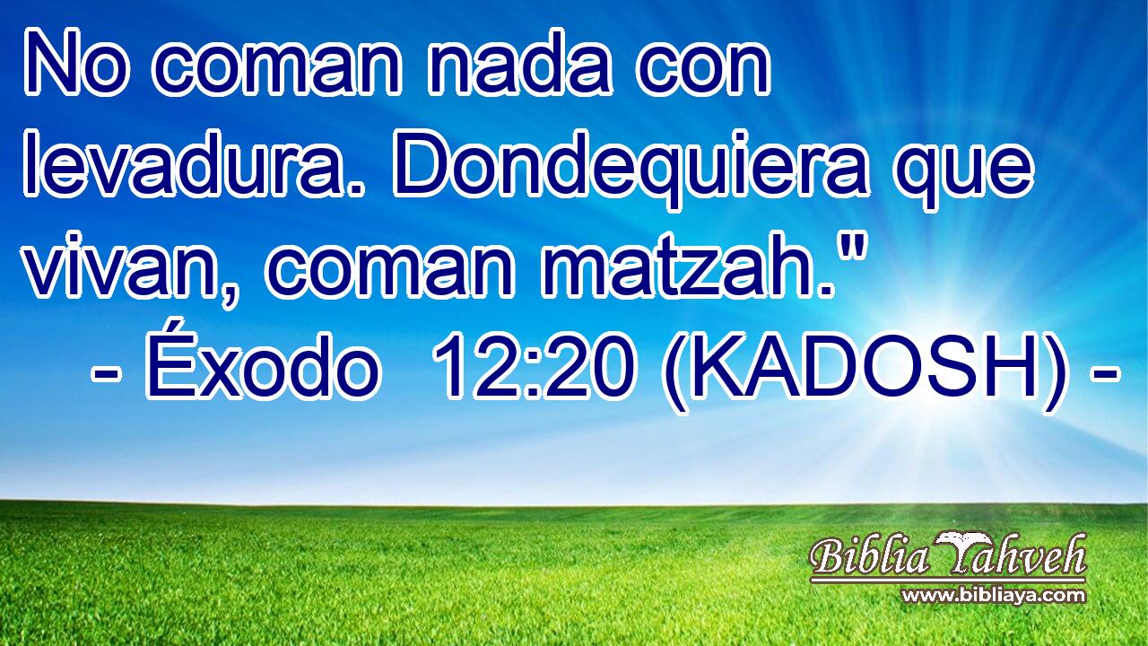  No coman nada con levadura. Dondequiera que vivan, coman matzah.