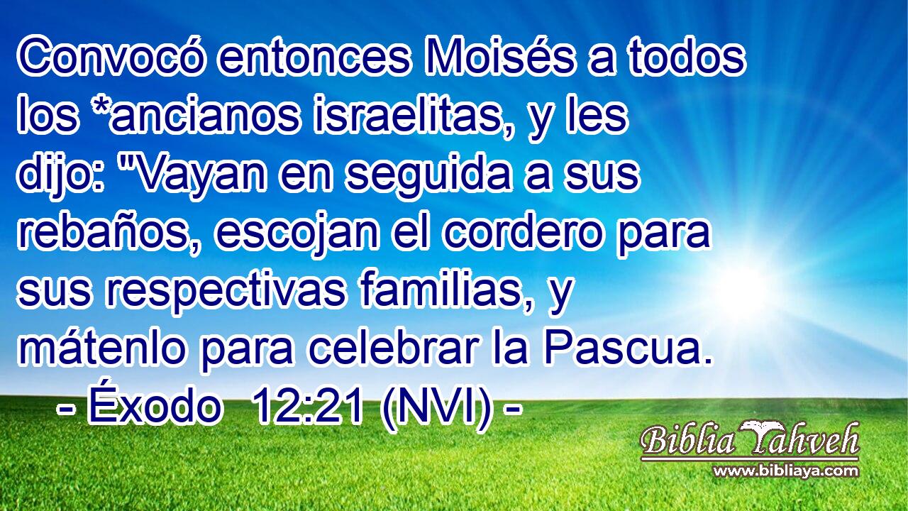  Convocó entonces Moisés a todos los *ancianos israelitas, y les dijo: 