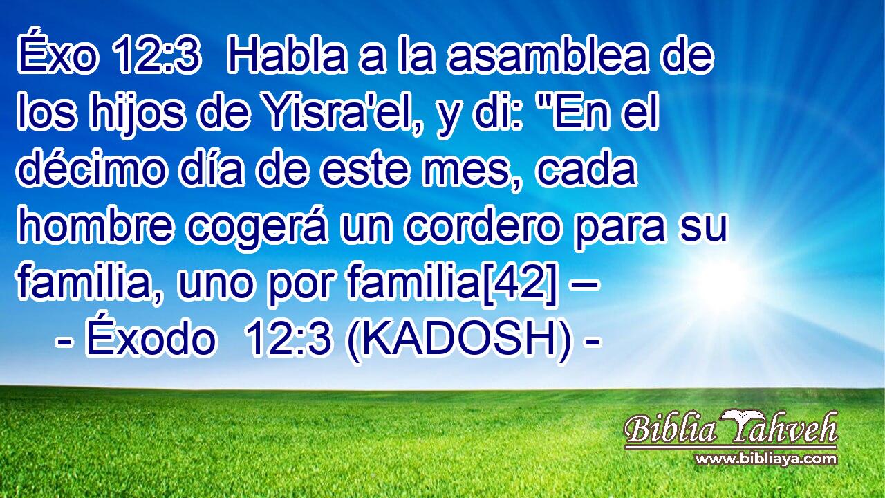  Habla a la asamblea de los hijos de Yisra'el, y di: 