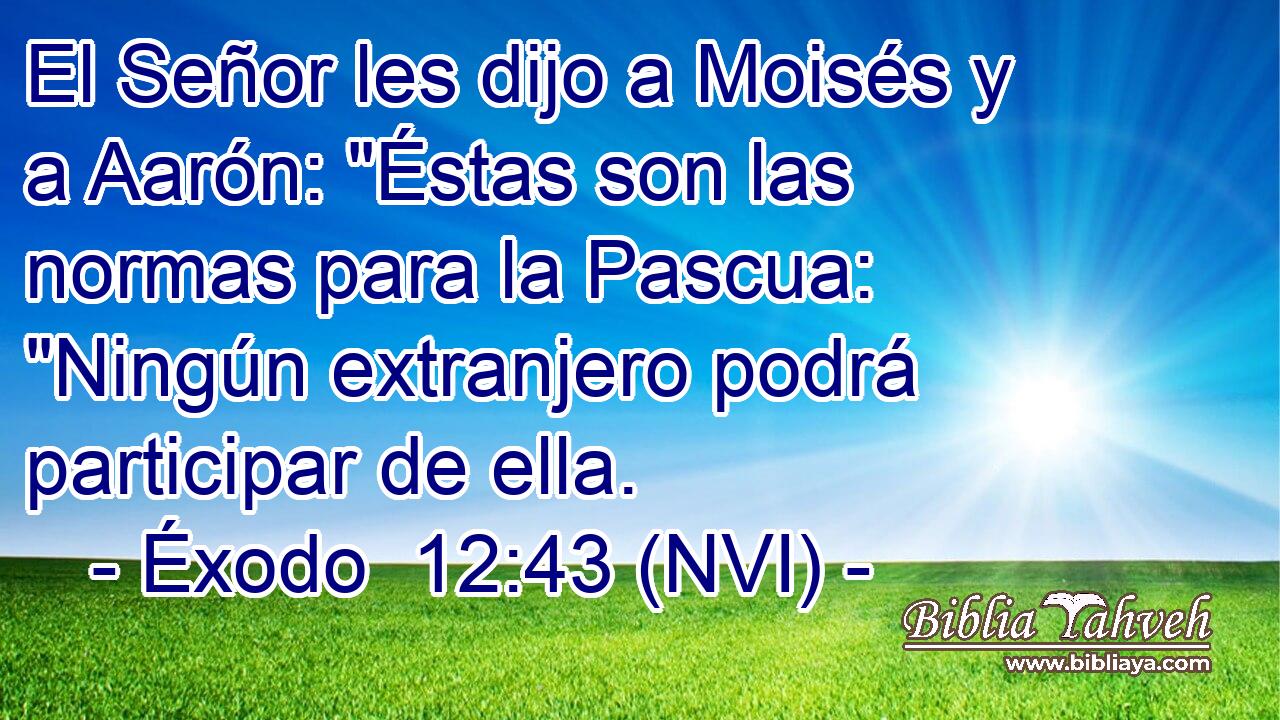  El Señor les dijo a Moisés y a Aarón: 