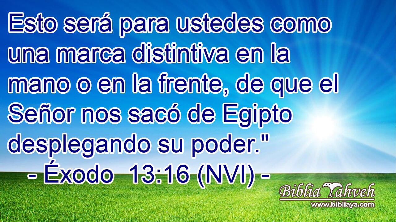  Esto será para ustedes como una marca distintiva en la mano o en la frente, de que el Señor nos sacó de Egipto desplegando su poder.