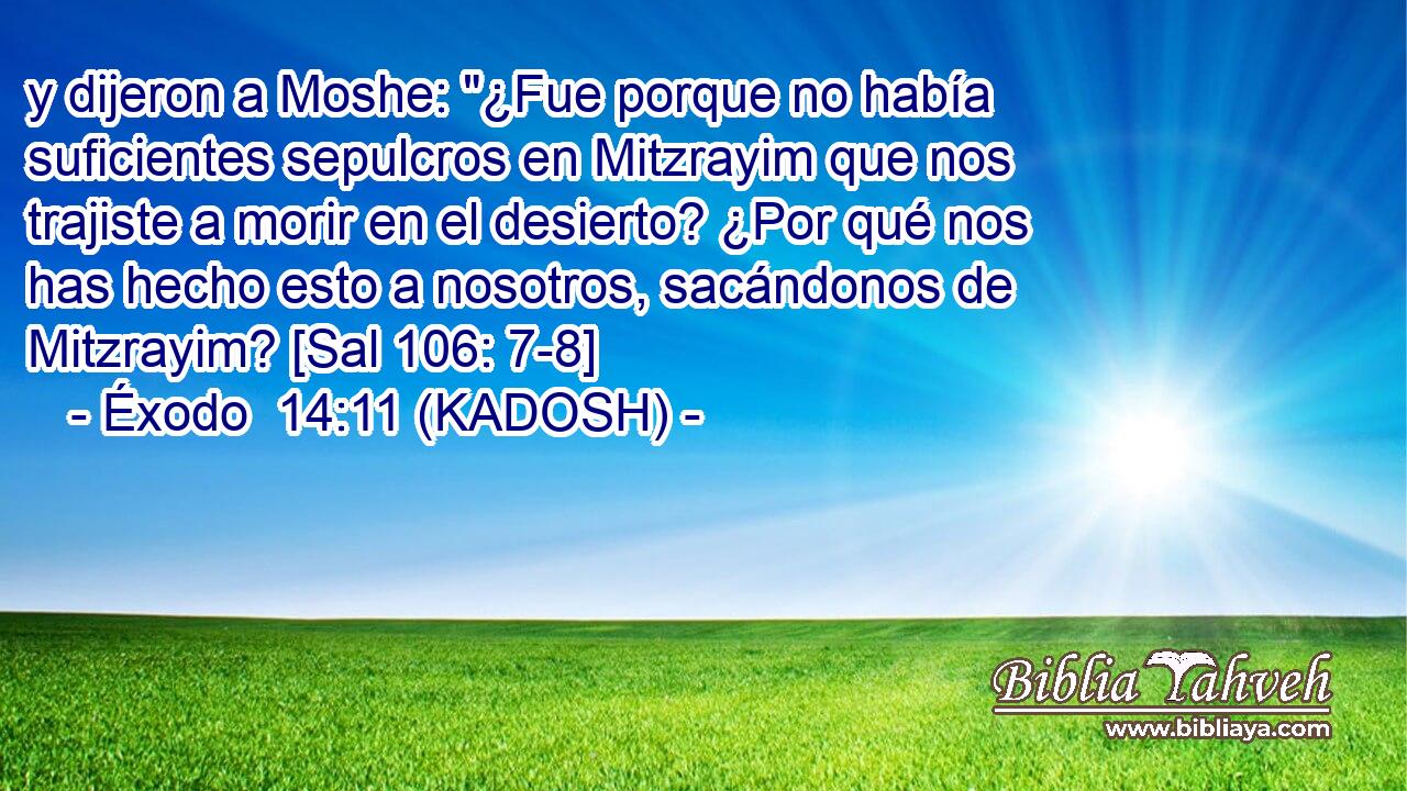  y dijeron a Moshe: 