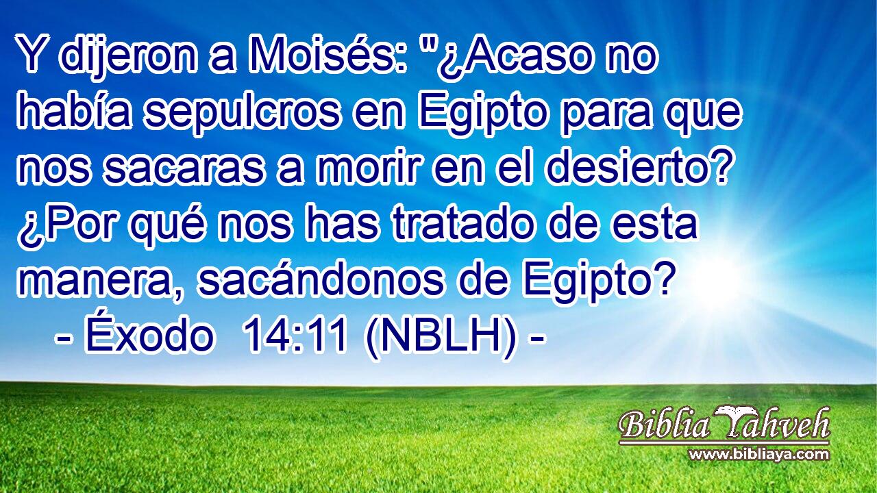  Y dijeron a Moisés: 