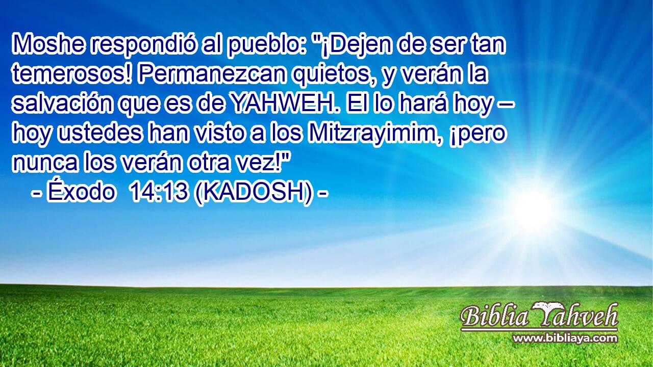  Moshe respondió al pueblo: 
