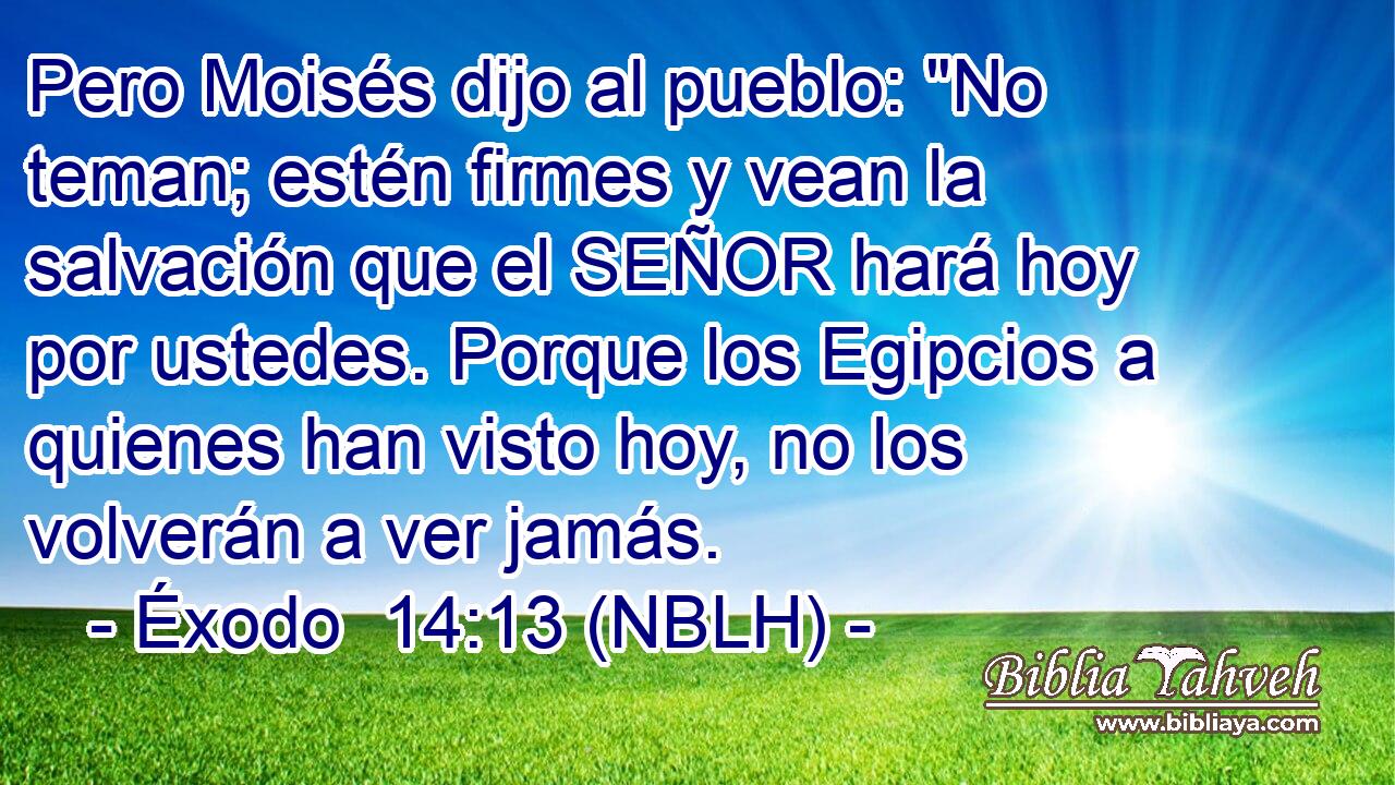 Pero Moisés dijo al pueblo: 