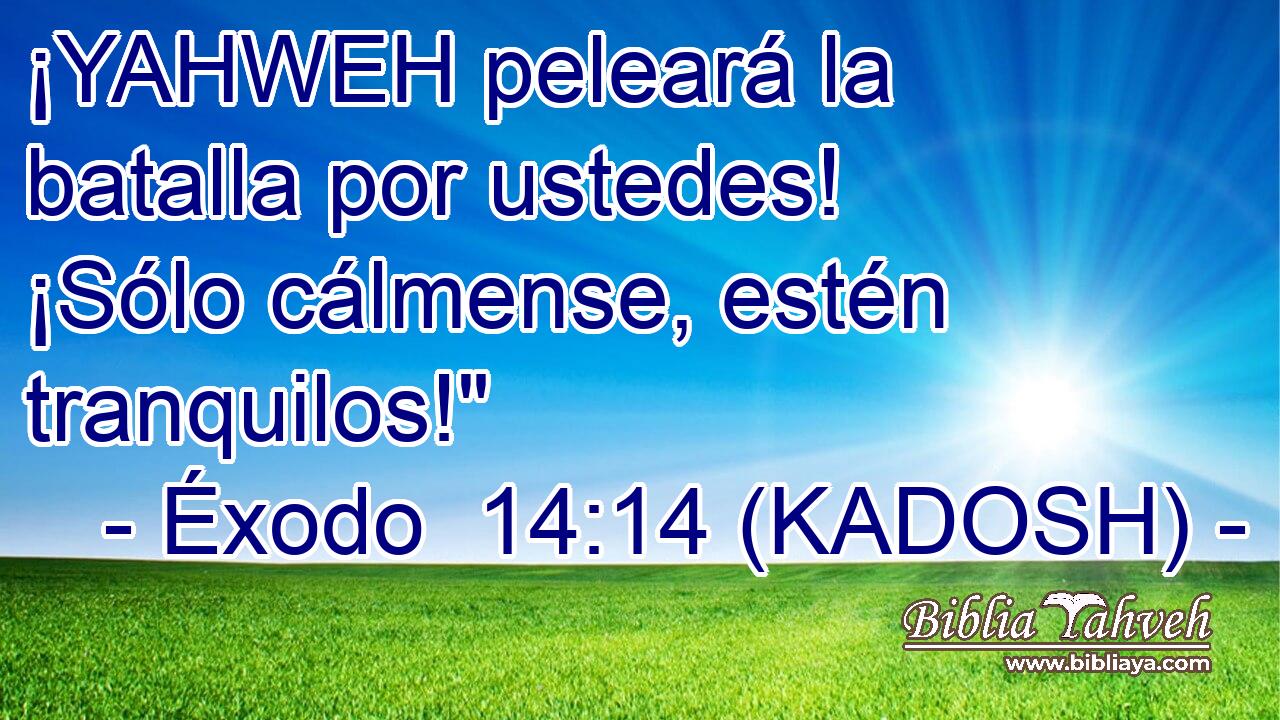  ¡YAHWEH peleará la batalla por ustedes! ¡Sólo cálmense, estén tranquilos!