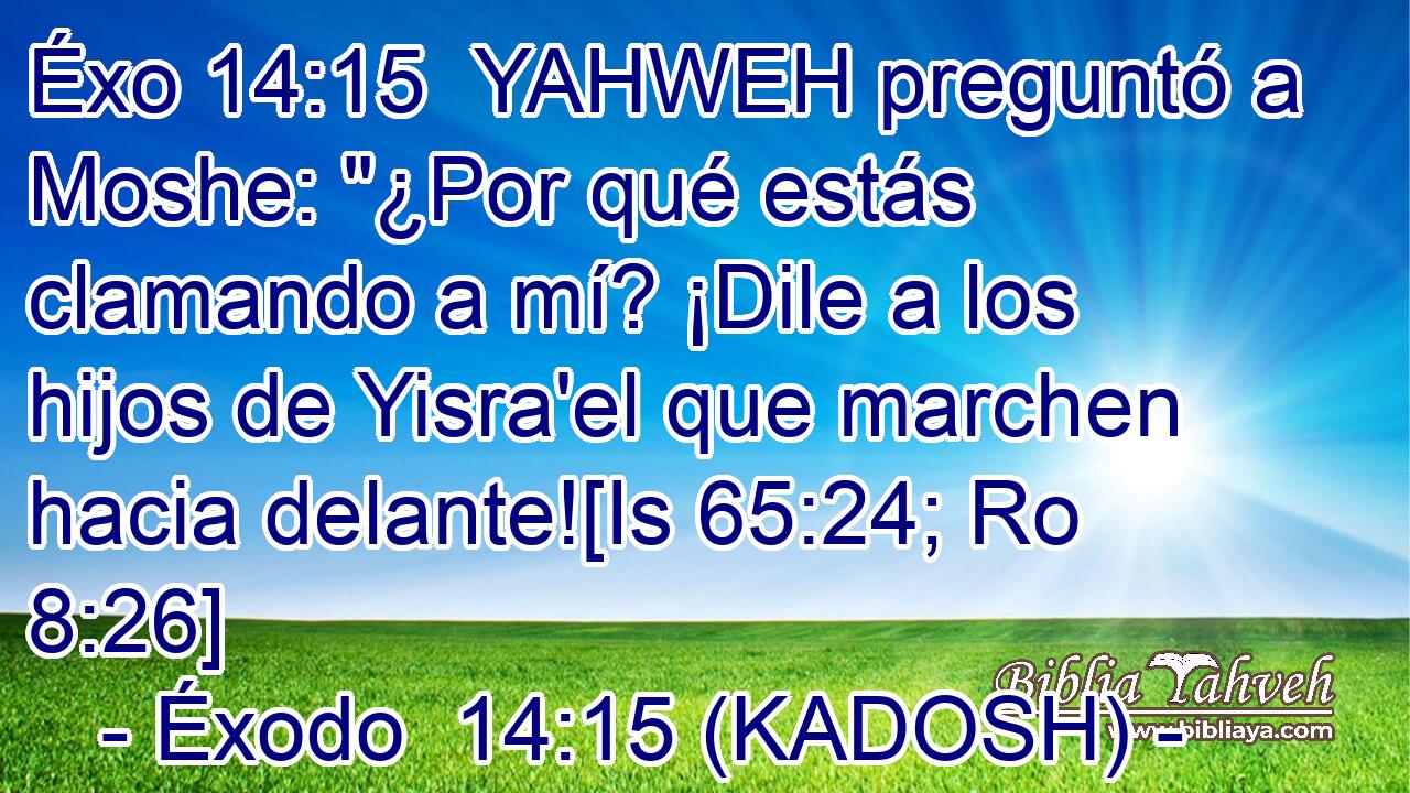  YAHWEH preguntó a Moshe: 
