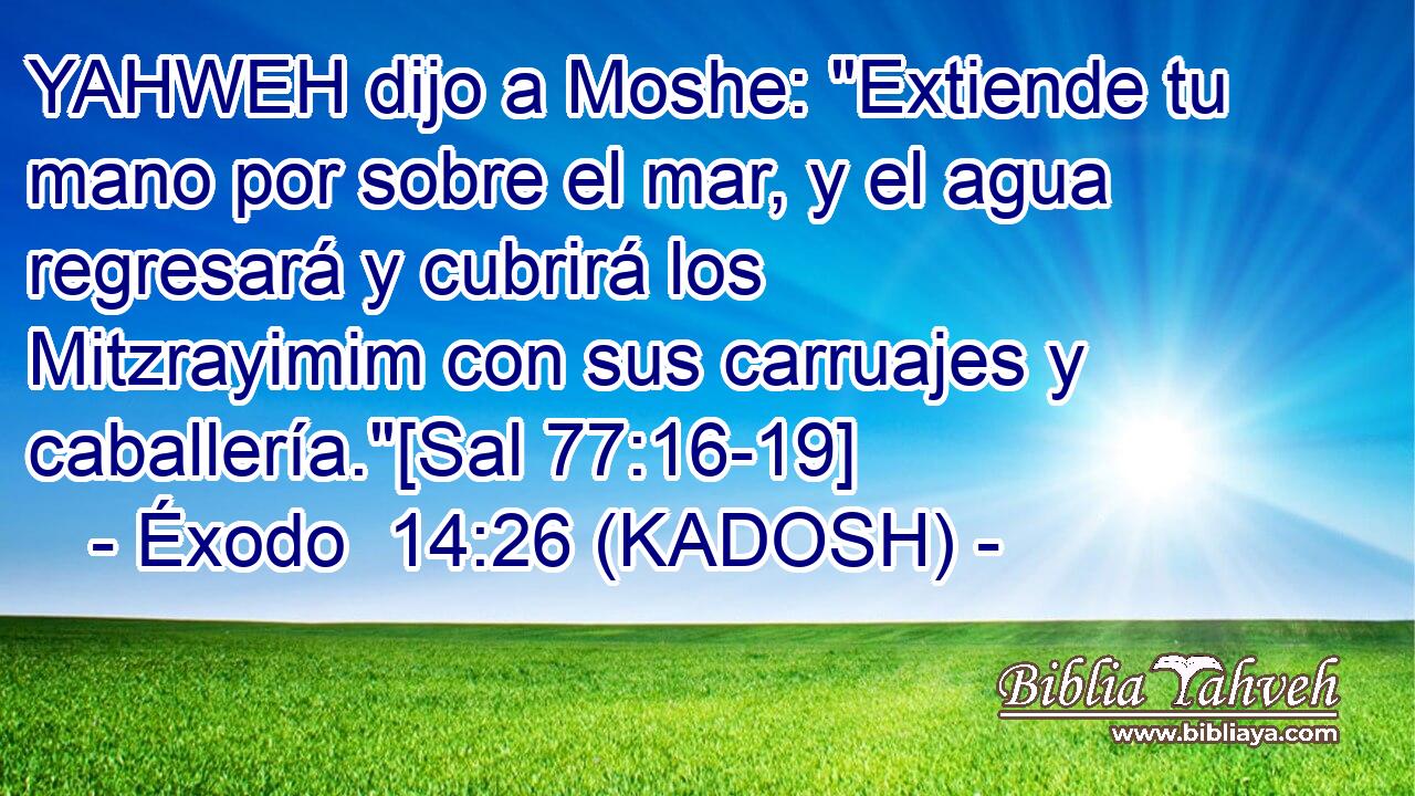  YAHWEH dijo a Moshe: 