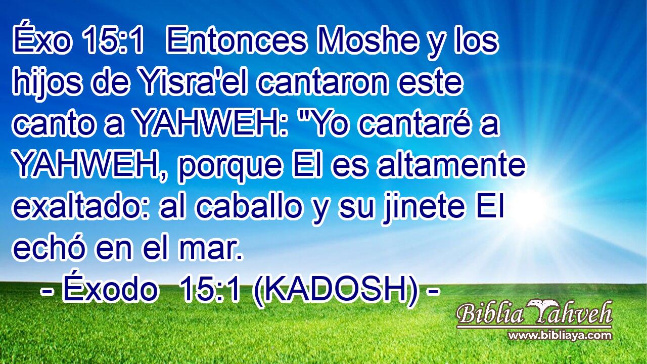  Entonces Moshe y los hijos de Yisra'el cantaron este canto a YAHWEH: 