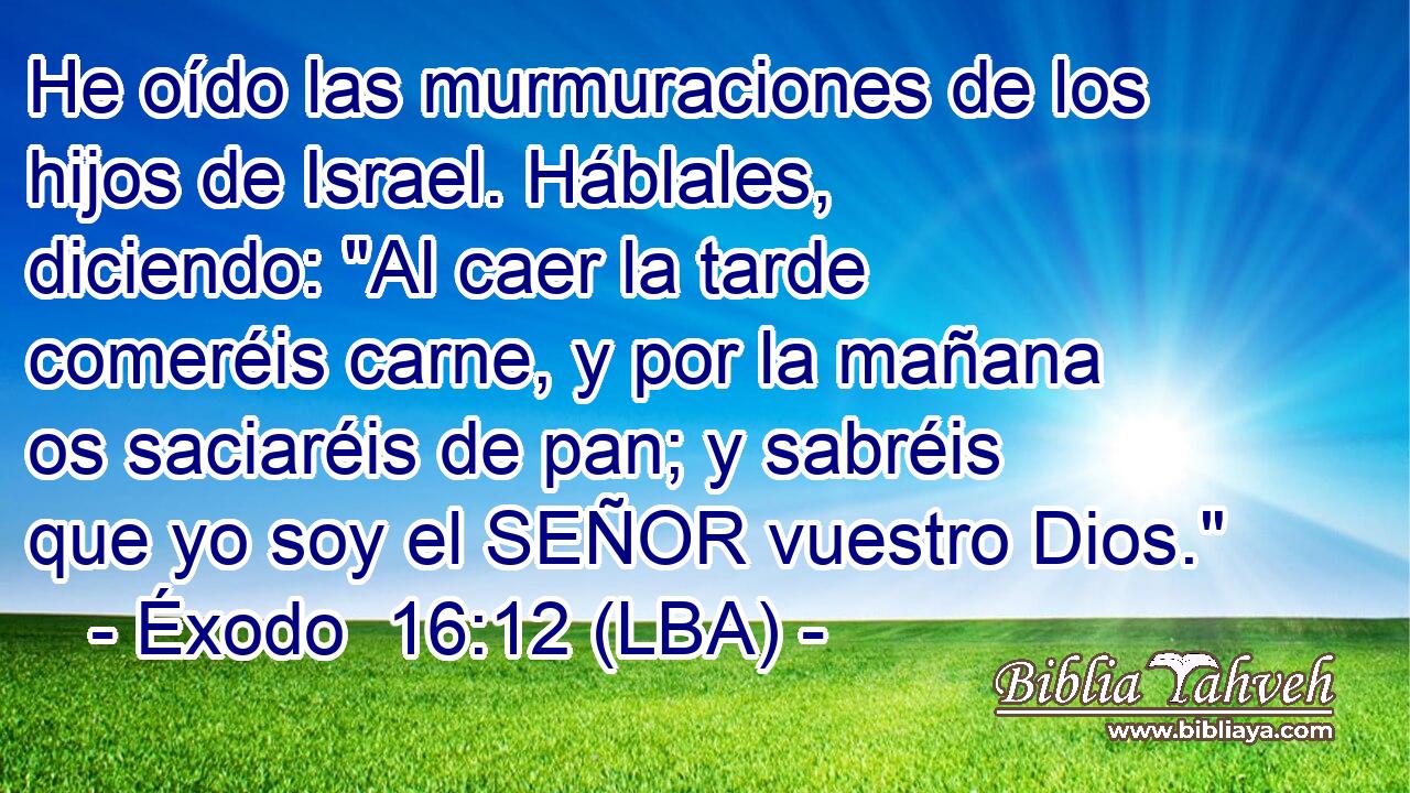 He oído las murmuraciones de los hijos de Israel. Háblales, diciendo: 