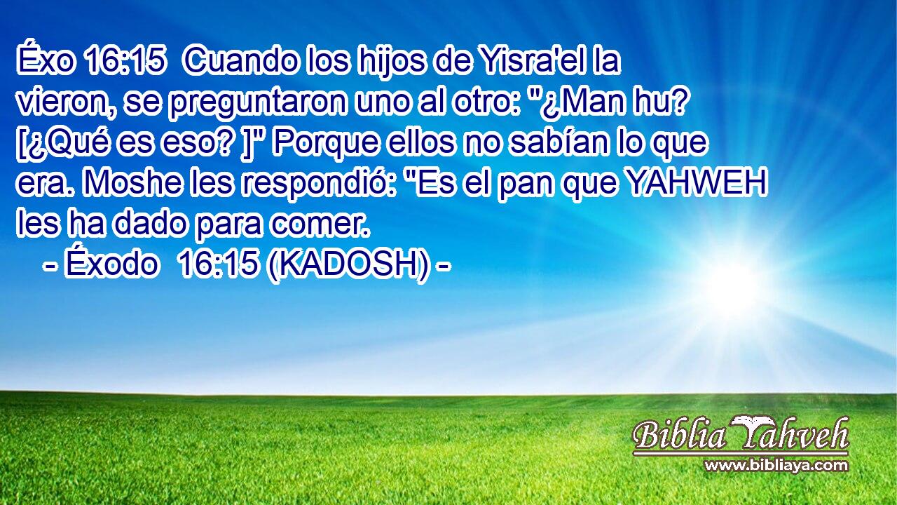  Cuando los hijos de Yisra'el la vieron, se preguntaron uno al otro: 