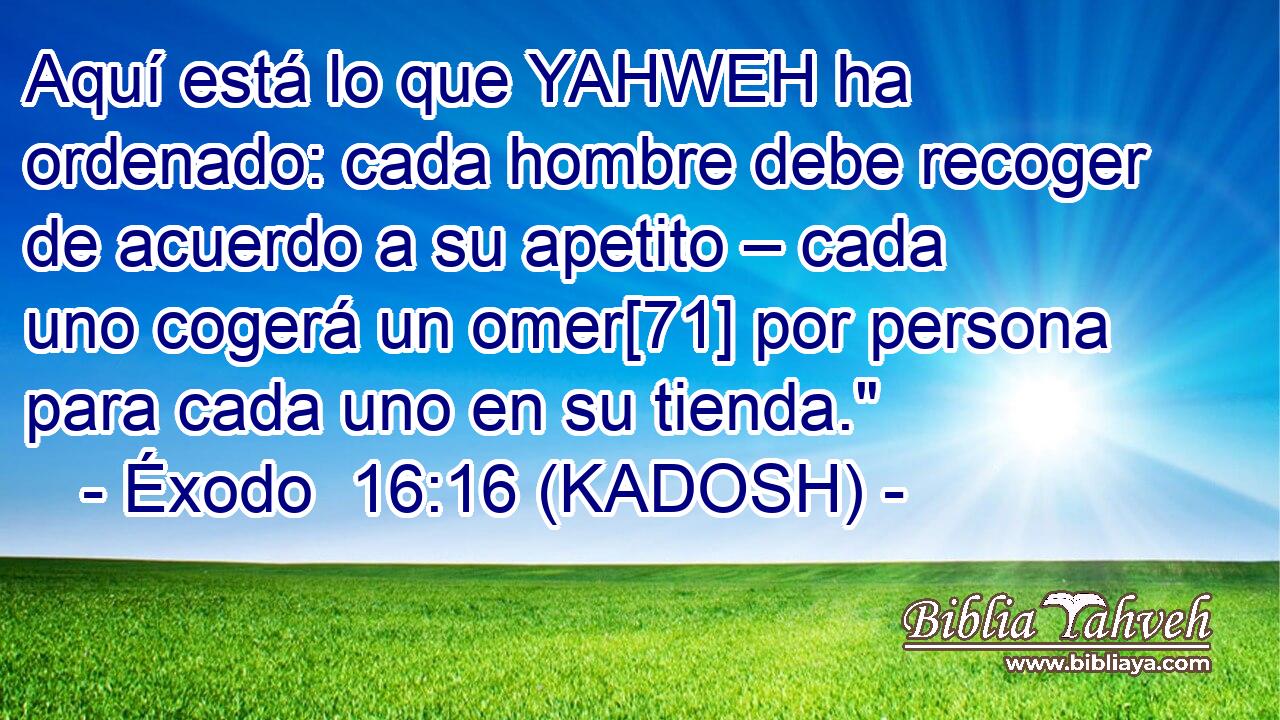  Aquí está lo que YAHWEH ha ordenado: cada hombre debe recoger de acuerdo a su apetito – cada uno cogerá un omer[71] por persona para cada uno en su tienda.