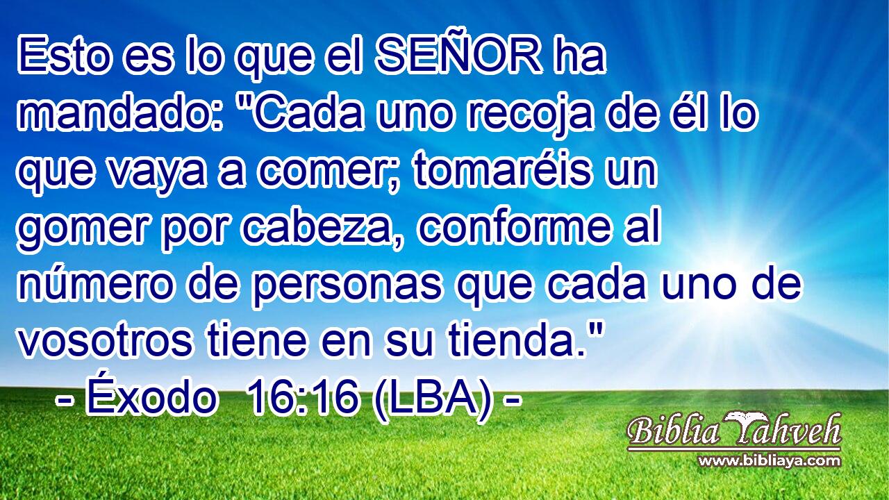 Esto es lo que el SEÑOR ha mandado: 