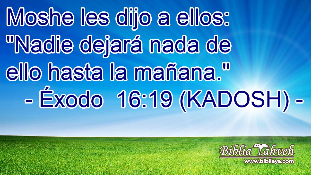  Moshe les dijo a ellos: 