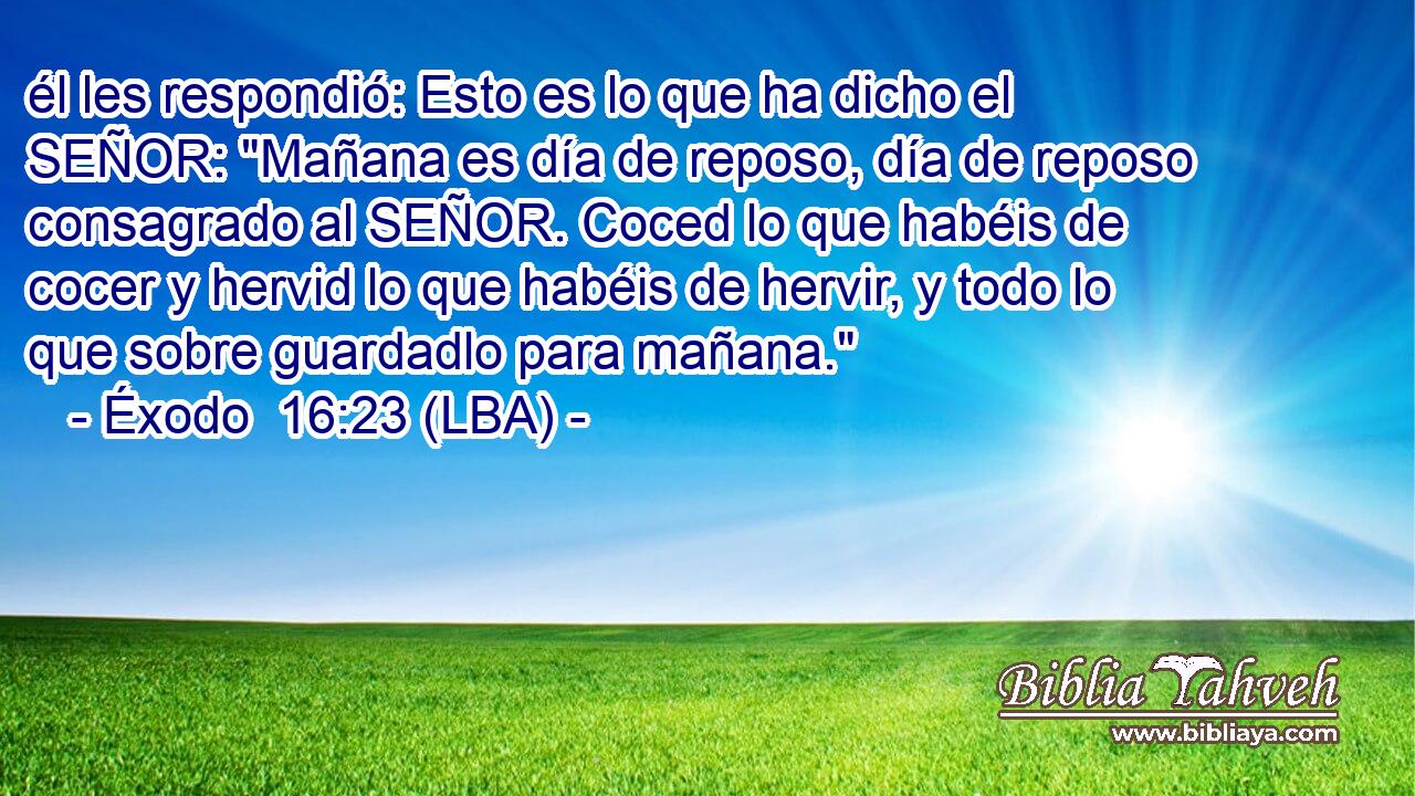 él les respondió: Esto es lo que ha dicho el SEÑOR: 
