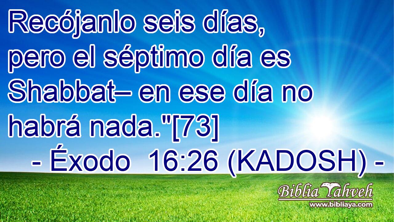  Recójanlo seis días, pero el séptimo día es Shabbat– en ese día no habrá nada.