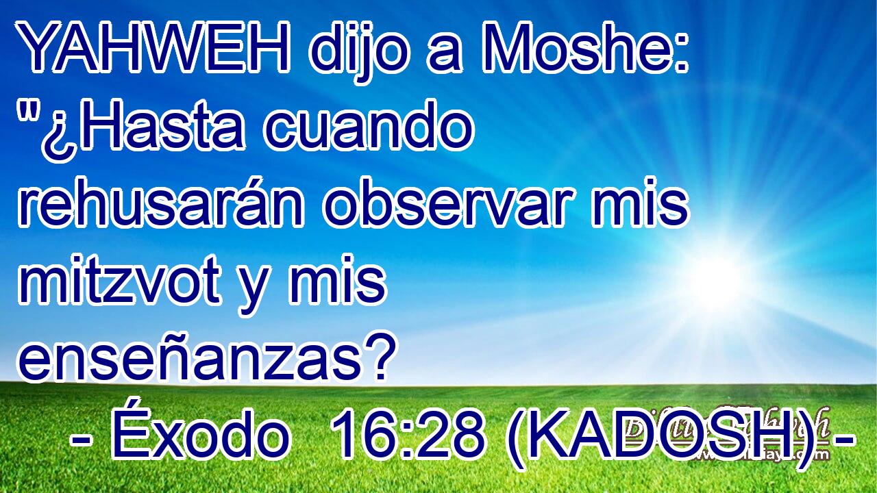  YAHWEH dijo a Moshe: 