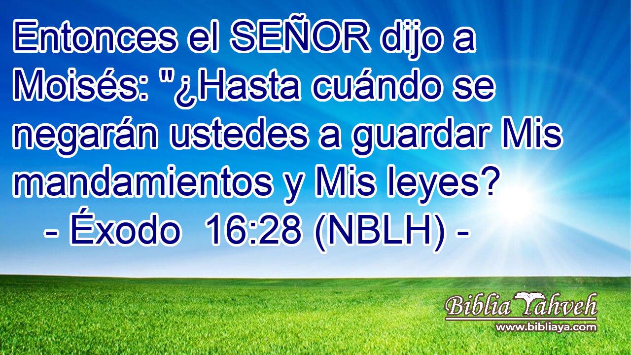  Entonces el SEÑOR dijo a Moisés: 