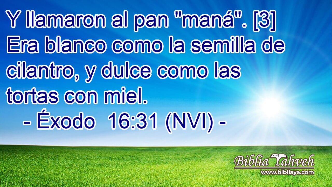  Y llamaron al pan 