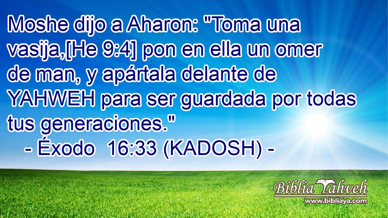  Moshe dijo a Aharon: 