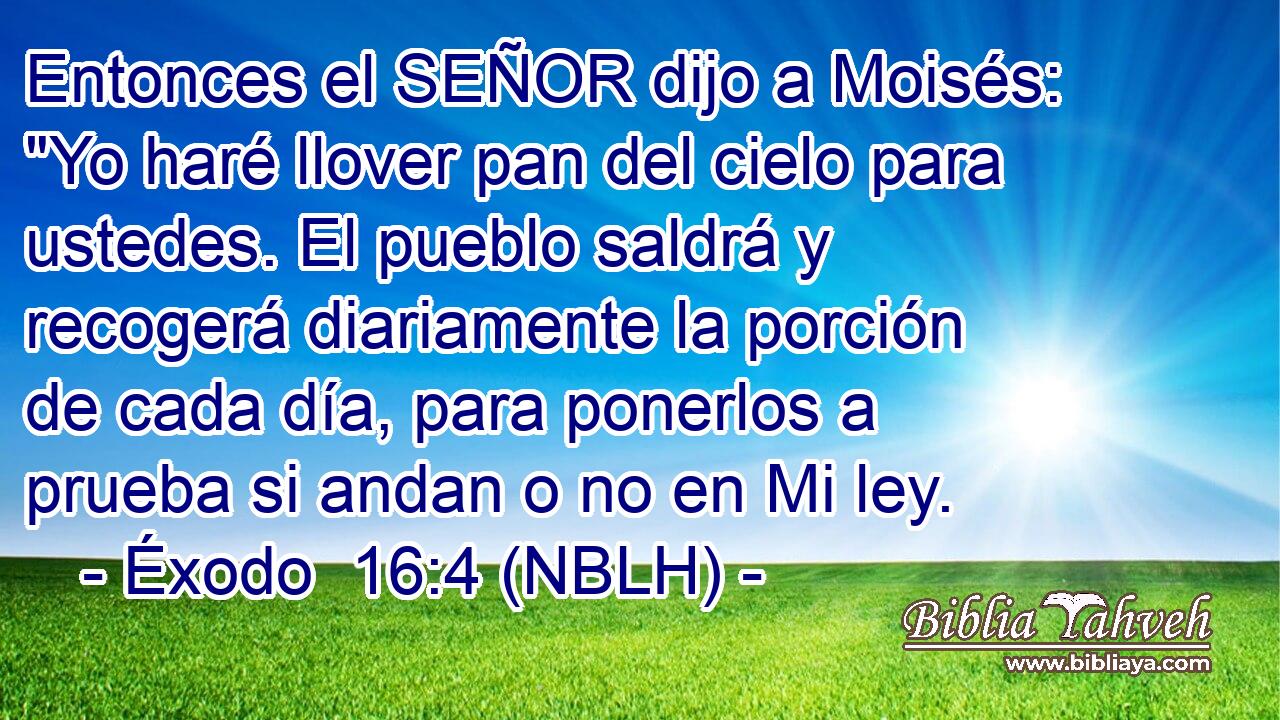  Entonces el SEÑOR dijo a Moisés: 