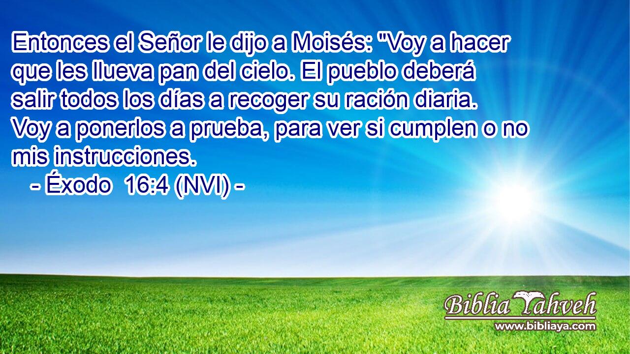  Entonces el Señor le dijo a Moisés: 