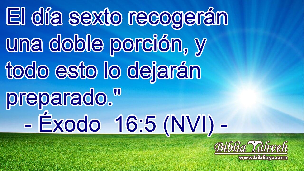  El día sexto recogerán una doble porción, y todo esto lo dejarán preparado.