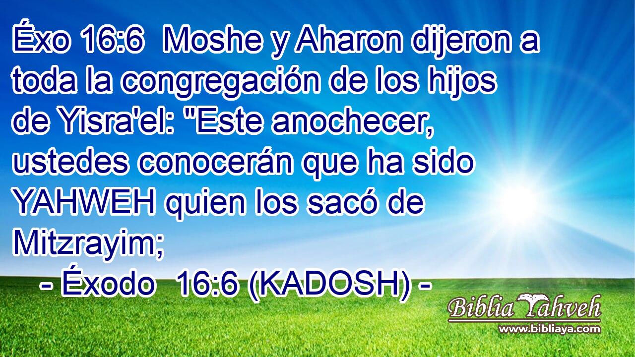  Moshe y Aharon dijeron a toda la congregación de los hijos de Yisra'el: 