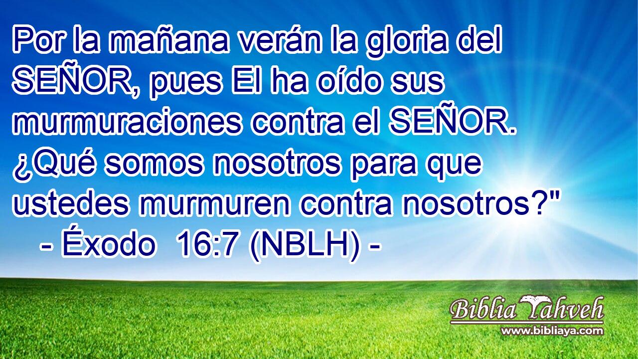  Por la mañana verán la gloria del SEÑOR, pues El ha oído sus murmuraciones contra el SEÑOR. ¿Qué somos nosotros para que ustedes murmuren contra nosotros?