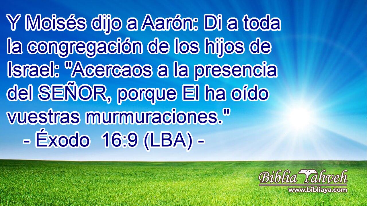 Y Moisés dijo a Aarón: Di a toda la congregación de los hijos de Israel: 