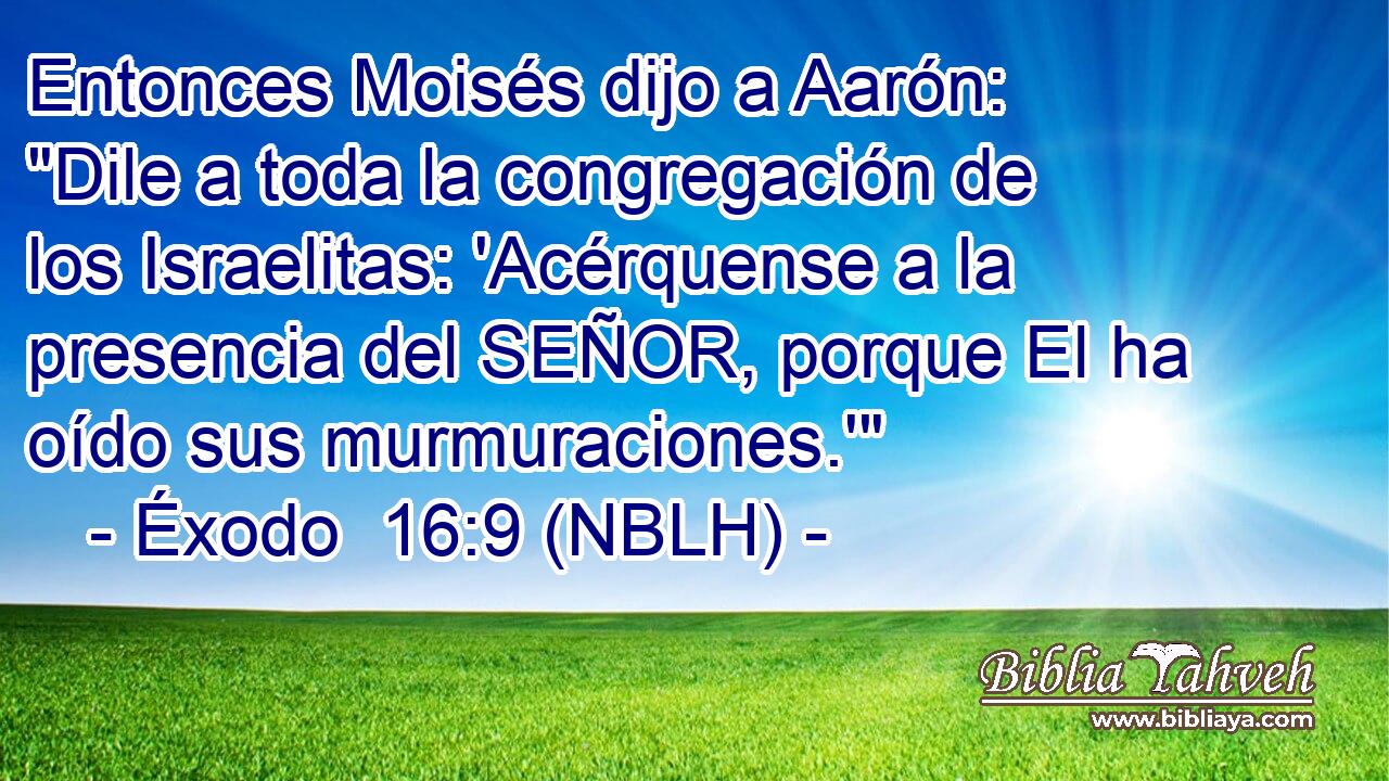  Entonces Moisés dijo a Aarón: 