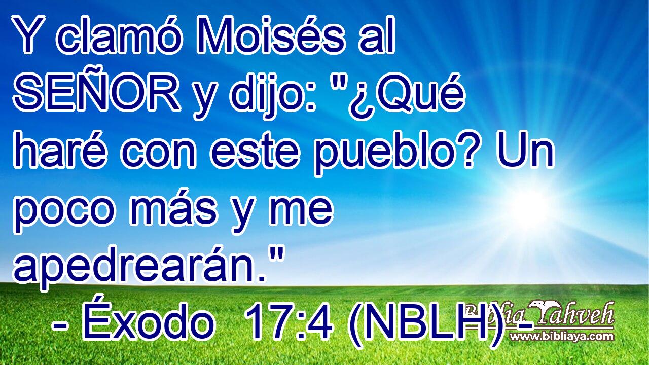  Y clamó Moisés al SEÑOR y dijo: 