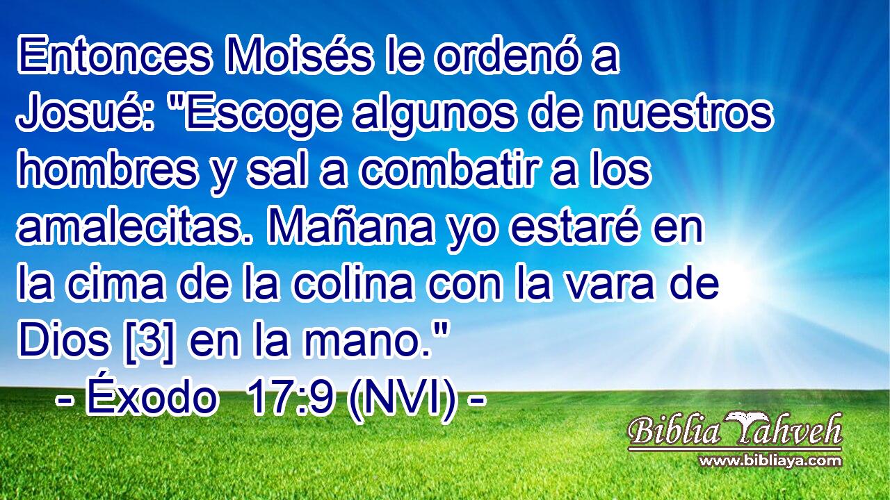  Entonces Moisés le ordenó a Josué: 