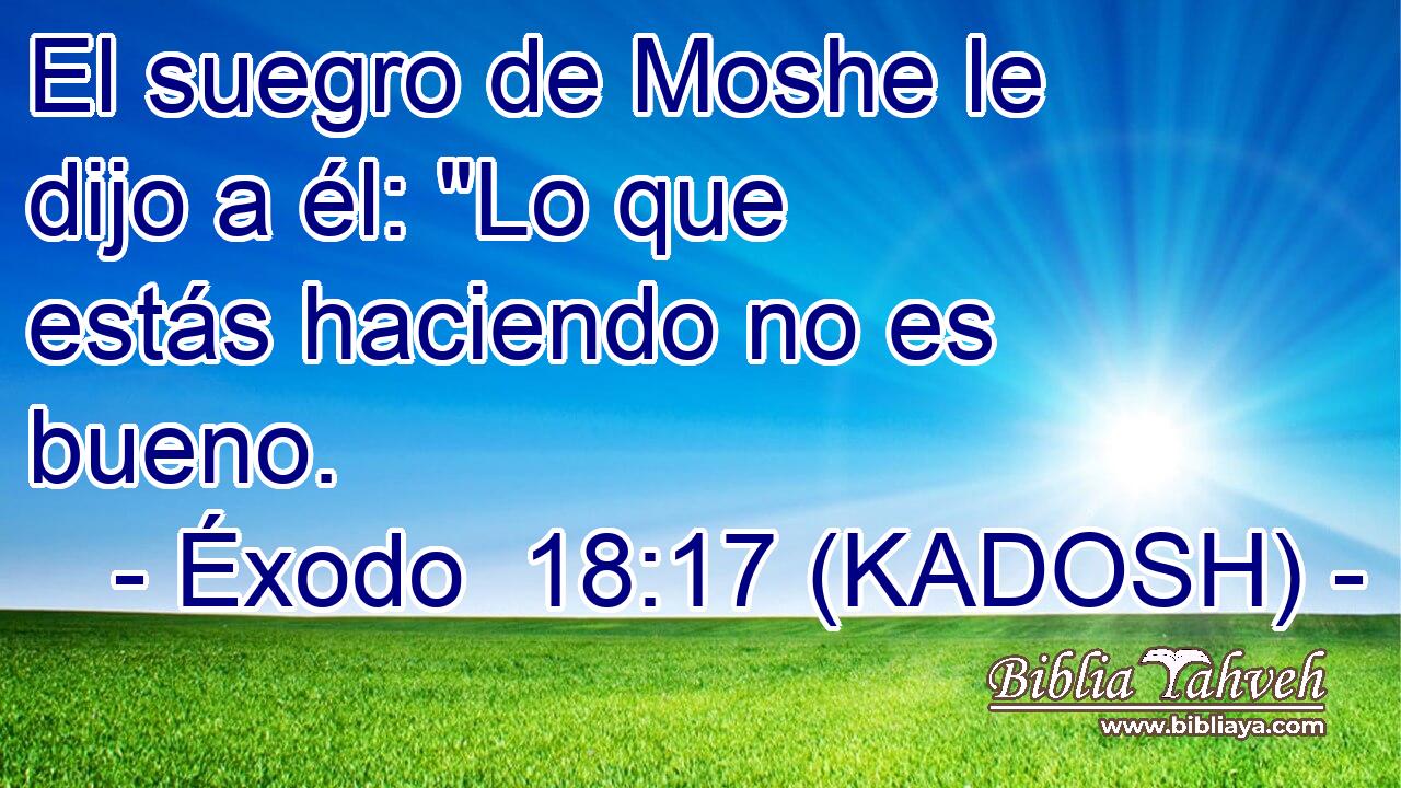  El suegro de Moshe le dijo a él: 