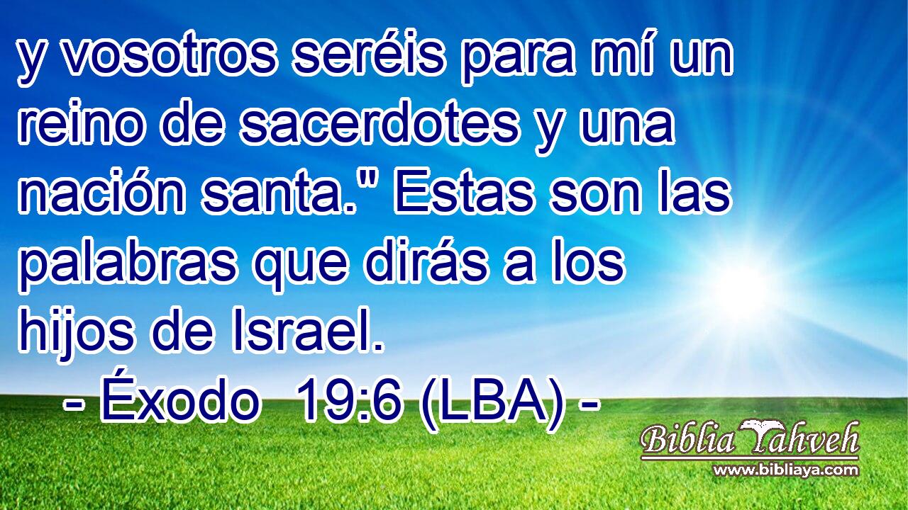 y vosotros seréis para mí un reino de sacerdotes y una nación santa.