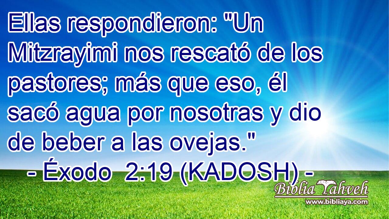  Ellas respondieron: 