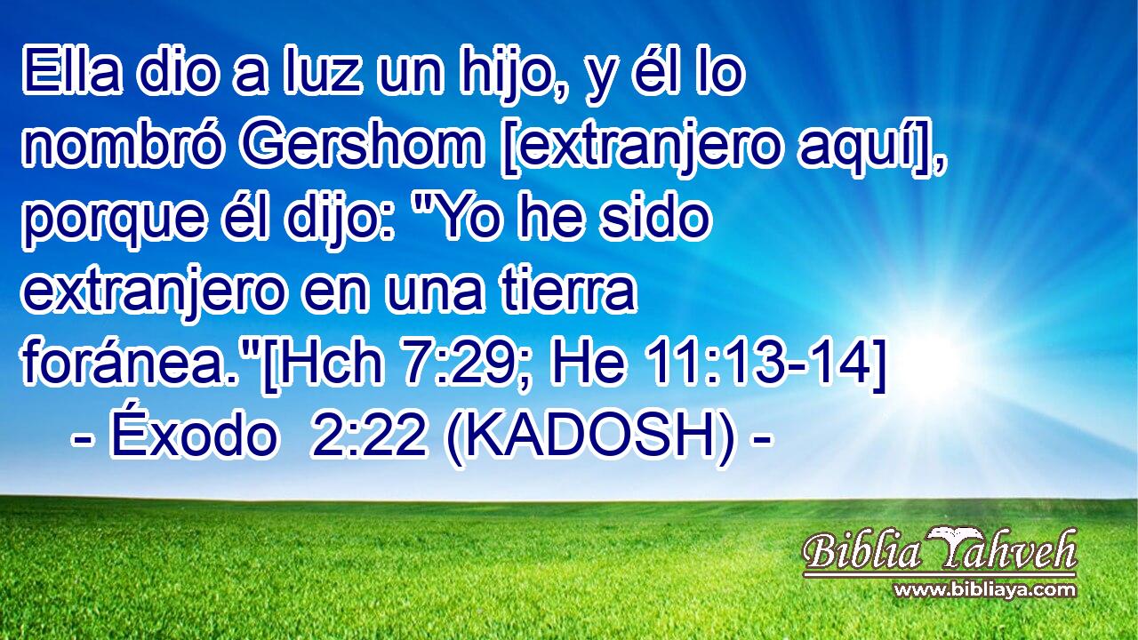  Ella dio a luz un hijo, y él lo nombró Gershom [extranjero aquí], porque él dijo: 